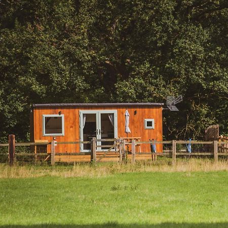 The Hideaway At Hiddenwood Glamping Hotel Corsley Eksteriør billede